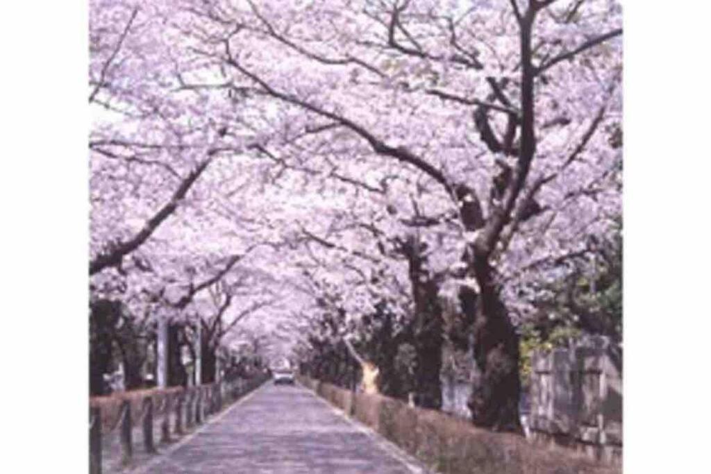 Small Villa Tokyo 渋谷まで2駅10分 青山一丁目駅徒歩3分一軒家ペット歓迎お子様歓迎駐車場あり6人までok Esterno foto